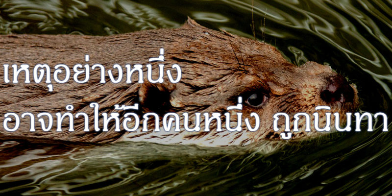 เหตุอย่างหนึ่ง อาจทำให้อีกคนหนึ่ง ถูกนินทา