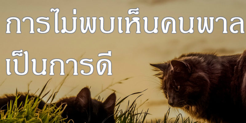 การไม่พบเห็นคนพาล เป็นการดี