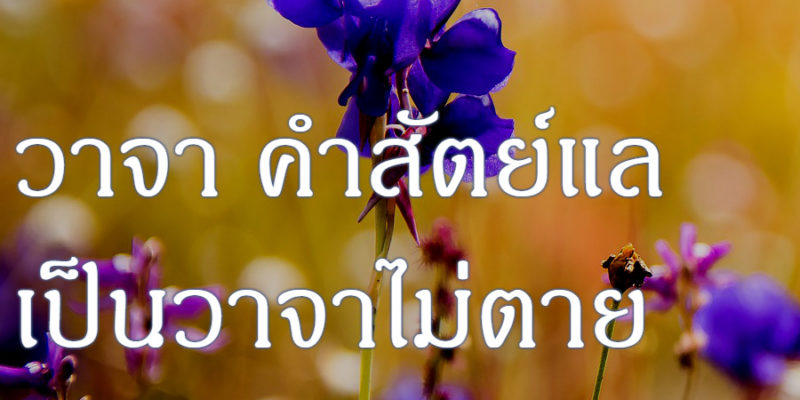 วาจา คำสัตย์แล เป็นวาจาไม่ตาย