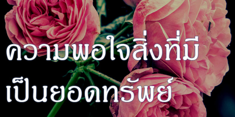 ความพอใจสิ่งที่มี เป็นยอดทรัพย์