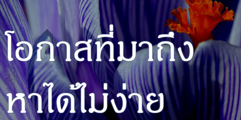 โอกาสที่มาถึง หาได้ไม่ง่าย