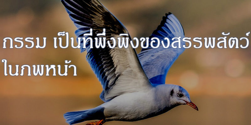 กรรม เป็นที่พึ่งพิงของสรรพสัตว์ ในภพหน้า