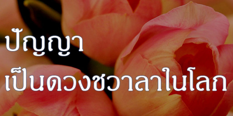 ปัญญาเป็นดวงชวาลาในโลก