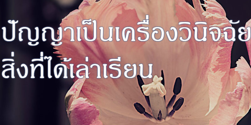 ปัญญาเป็นเครื่องวินิจฉัย สิ่งที่ได้เล่าเรียน