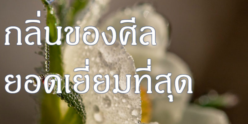 กลิ่นของศีล ยอดเยี่ยมที่สุด