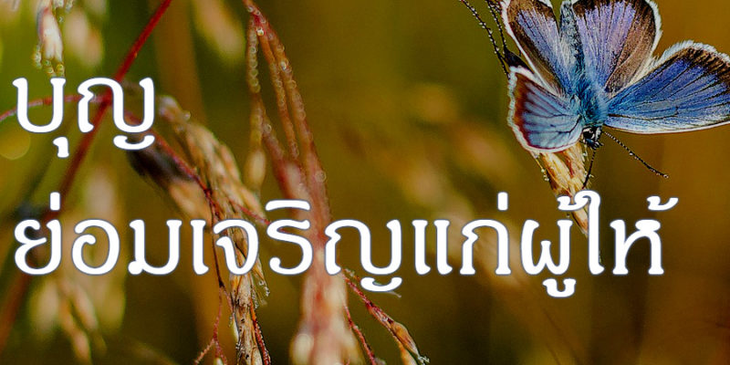 บุญ ย่อมเจริญแก่ผู้ให้