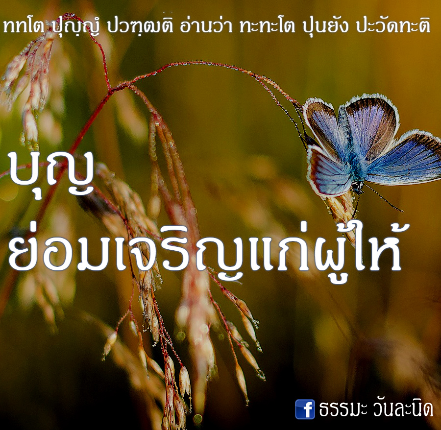 บุญ ย่อมเจริญแก่ผู้ให้