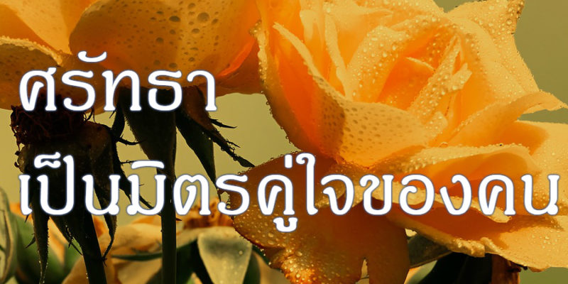 ศรัทธา เป็นมิตรคู่ใจของคน