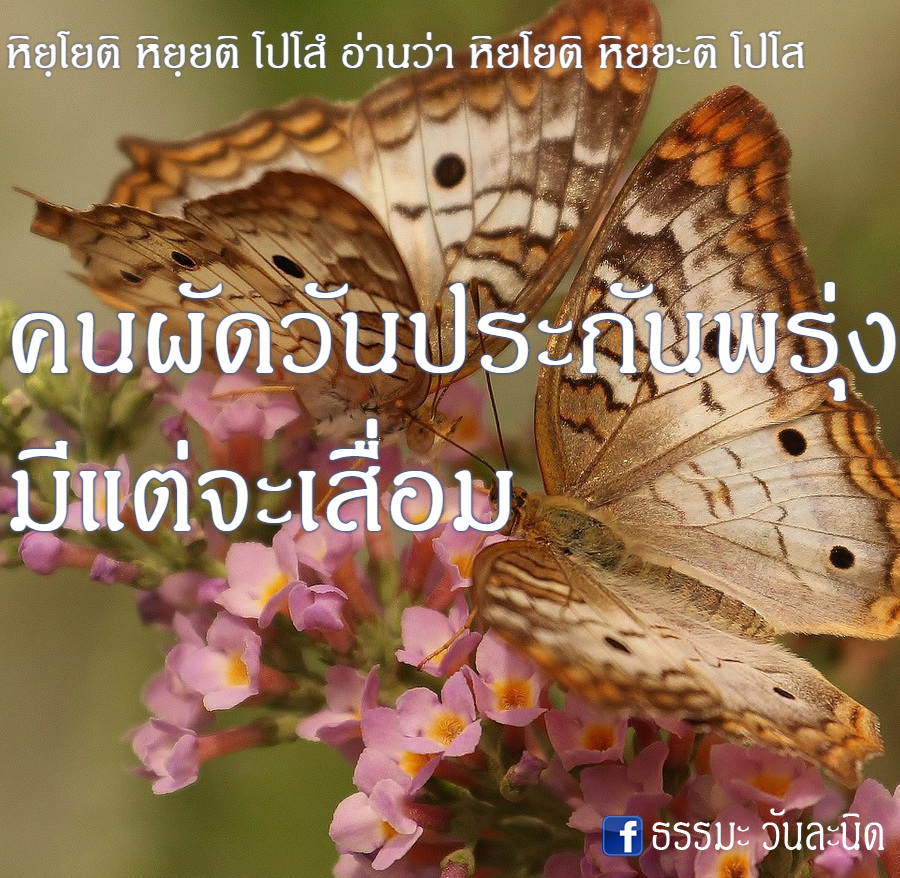 คนผัดวันประกันพรุ่ง มีแต่จะเสื่อม