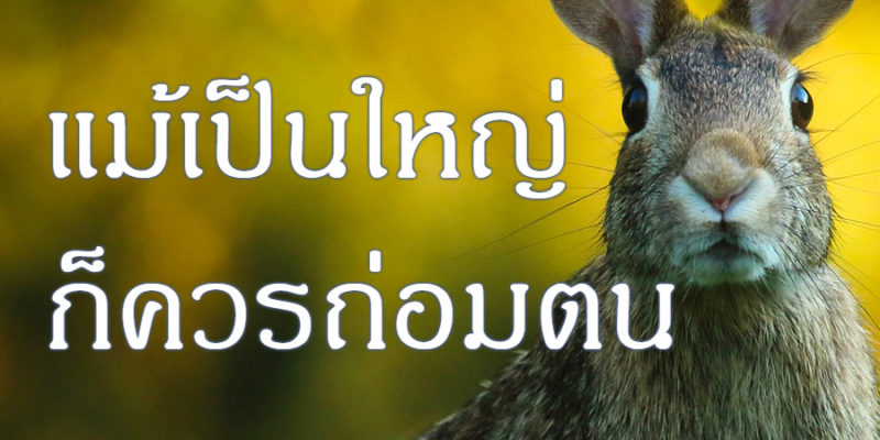 แม้เป็นใหญ่ ก็ควรถ่อมตน