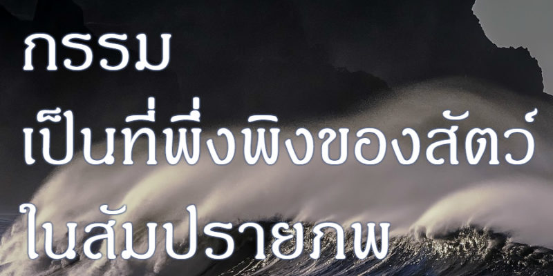 กรรม เป็นที่พึ่งพิงของสัตว์ ในสัมปรายภพ