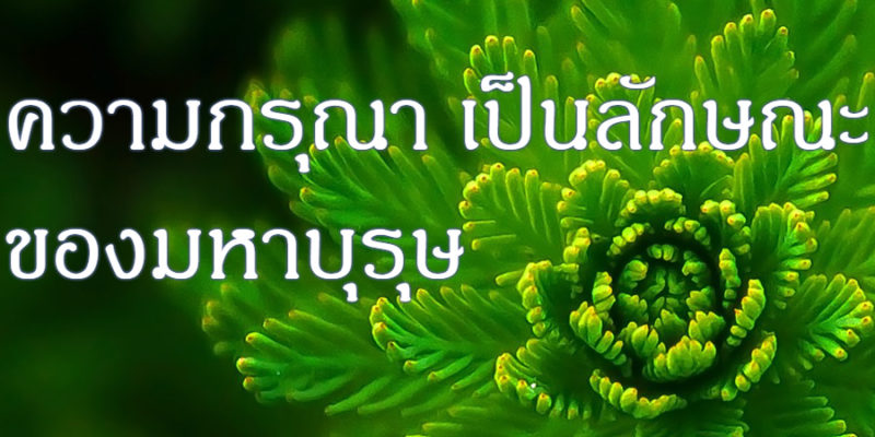 ความกรุณา เป็นลักษณะของมหาบุรุษ