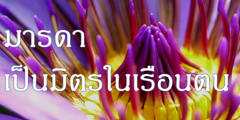 มารดาเป็นมิตรในเรือนตน