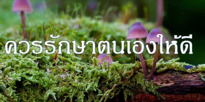 ควรรักษาตนเองให้ดี