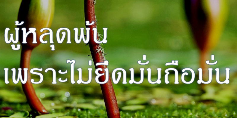 ผู้หลุดพ้น เพราะไม่ยึดมั่นถือมั่น