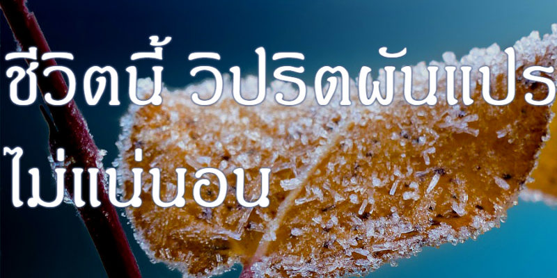 ชีวิตนี้ วิปริตผันแปร ไม่แน่นอน