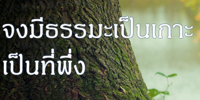 จงมีธรรมะเป็นเกาะ เป็นที่พึ่ง