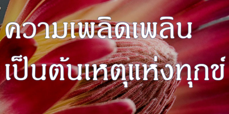 ความเพลิดเพลิน เป็นต้นเหตุแห่งทุกข์