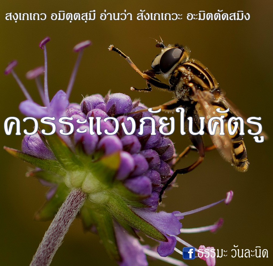 ควรระแวงภัยในศัตรู