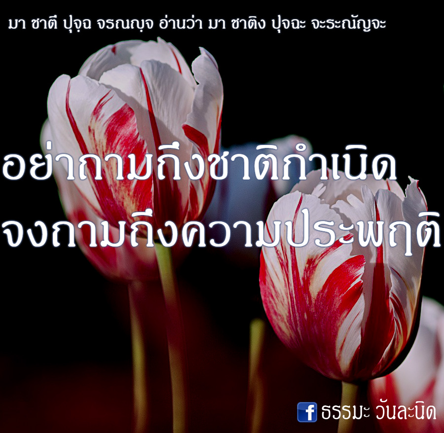 อย่าถามถึงชาติกำเนิด จงถามถึงความประพฤติ