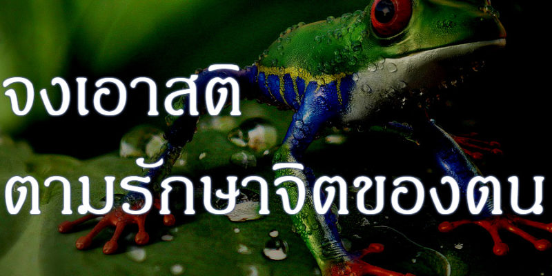 จงเอาสติ ตามรักษาจิตของตน