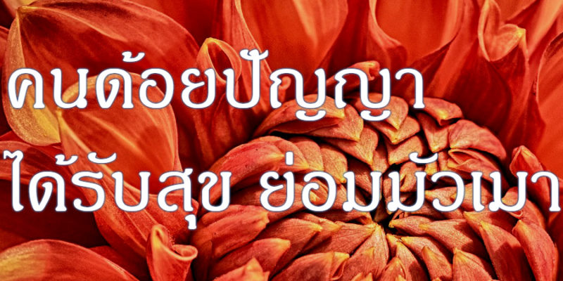 คนด้อยปัญญา ได้รับสุข ย่อมมัวเมา