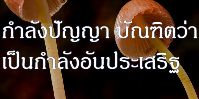 กำลังปัญญา บัณฑิตว่าเป็นกำลังอันประเสริฐ