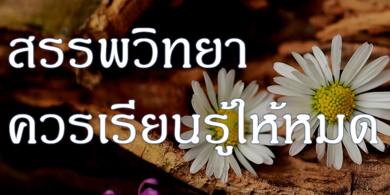 สรรพวิทยา ควรเรียนรู้ให้หมด