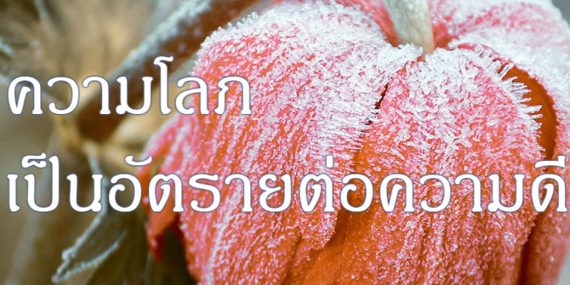 ความโลภ เป็นอัตรายต่อความดี