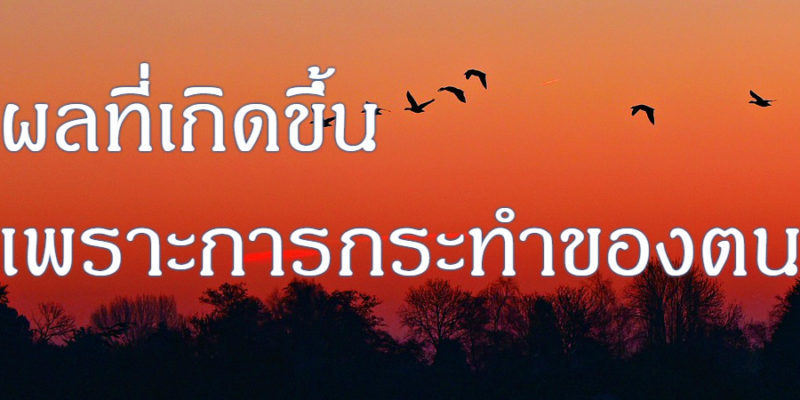 ผลที่เกิดขึ้น เพราะการกระทำของตน