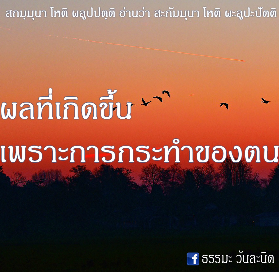 ผลที่เกิดขึ้น เพราะการกระทำของตน