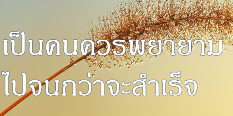 เป็นคนควรพยายาม ไปจนกว่าจะสำเร็จ