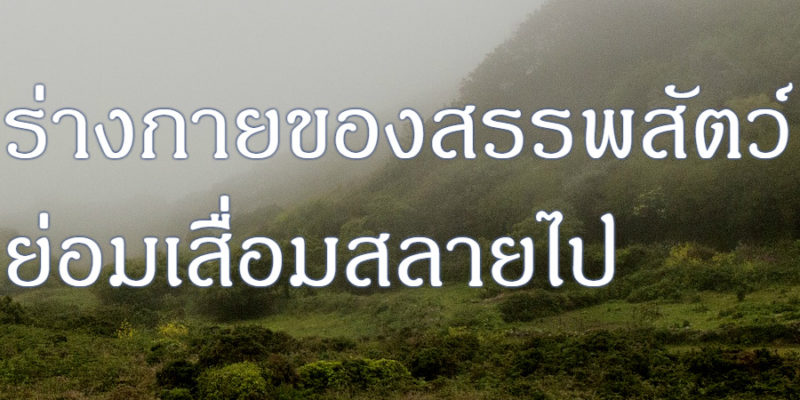 ร่างกายของสรรพสัตว์ ย่อมเสื่อมสลายไป