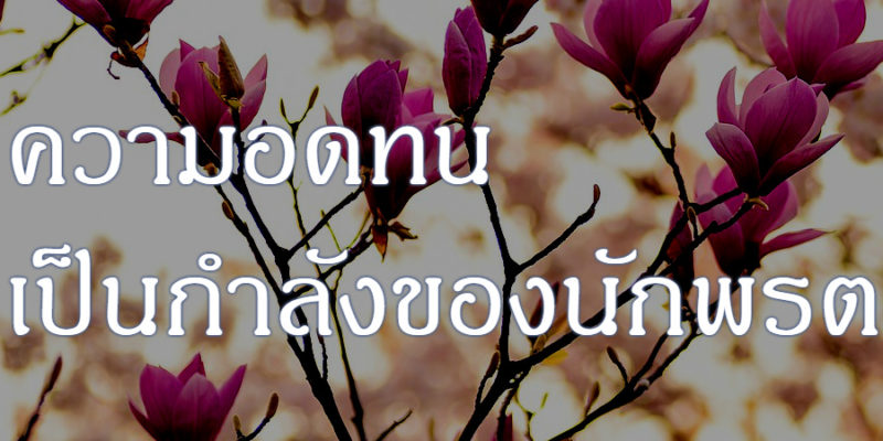 ความอดทน เป็นกำลังของนักพรต