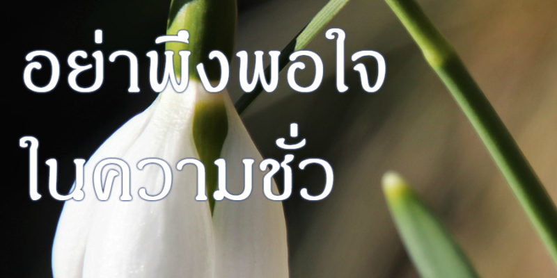 อย่าพึงพอใจในความชั่ว