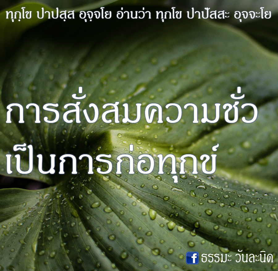 การสั่งสมความชั่ว เป็นการก่อทุกข์