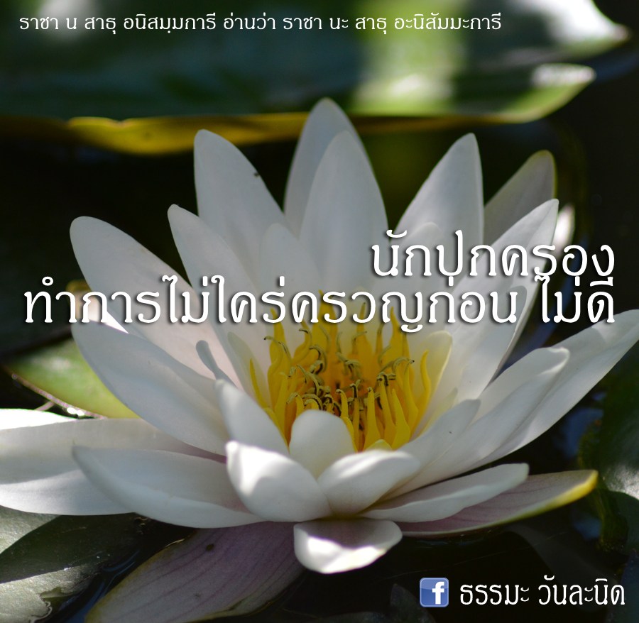 นักปกครอง ทำการไม่ใคร่ครวญก่อน ไม่ดี