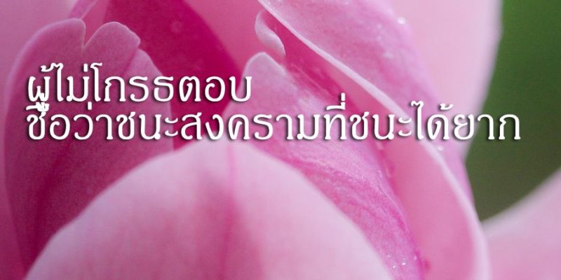 ผู้ไม่โกรธตอบ ชื่อว่าชนะสงครามที่ชนะได้ยาก