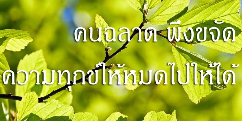 คนฉลาด พึงขจัดความทุกข์ให้หมดไปให้ได้