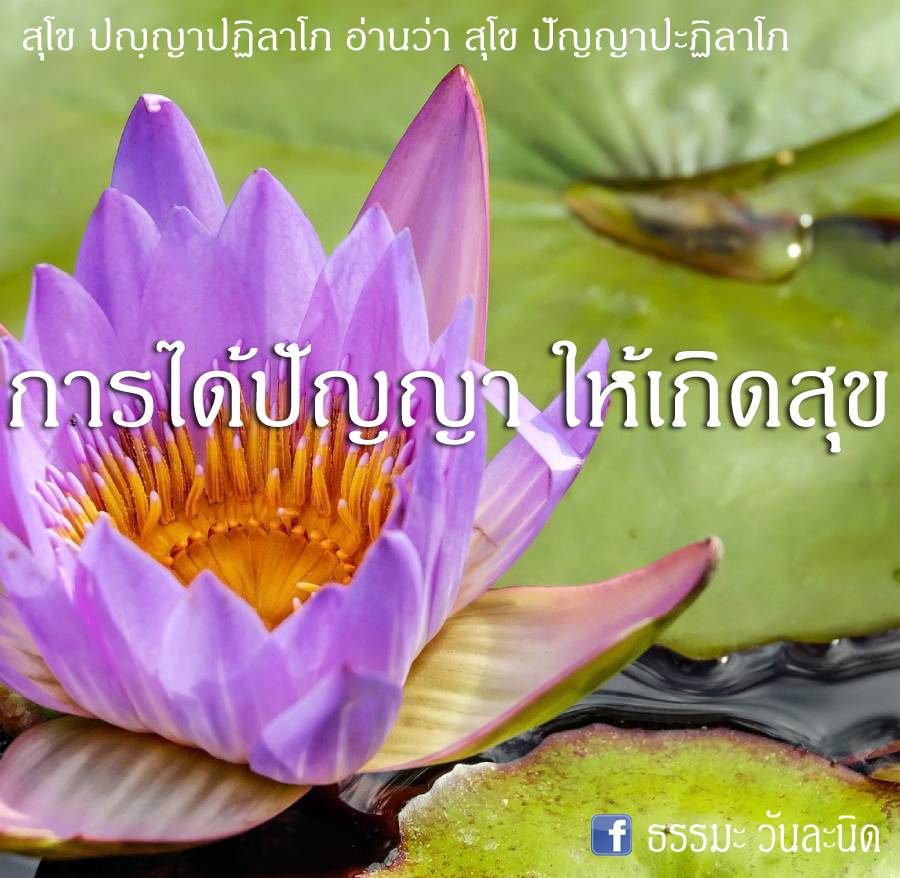 การได้ปัญญา ให้เกิดสุข