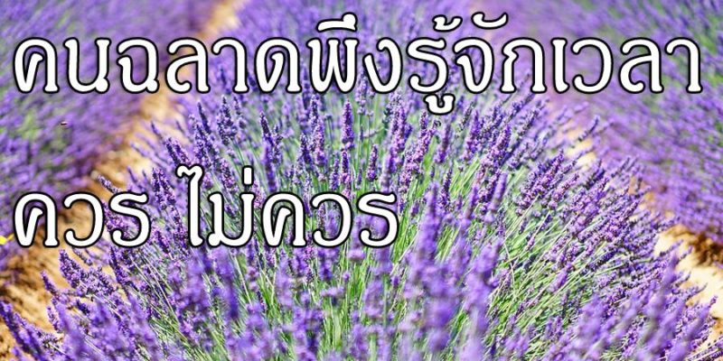 คนฉลาด พึงรู้จักเวลาควร ไม่ควร