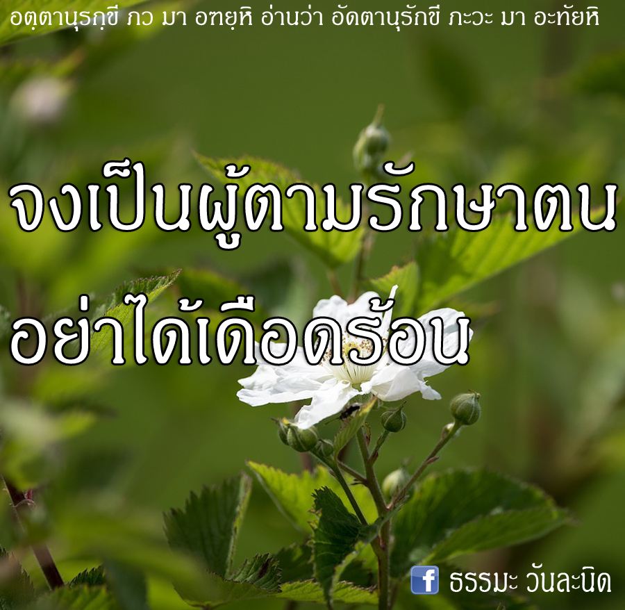 จงเป็นผู้ตามรักษาตน อย่าได้เดือดร้อน