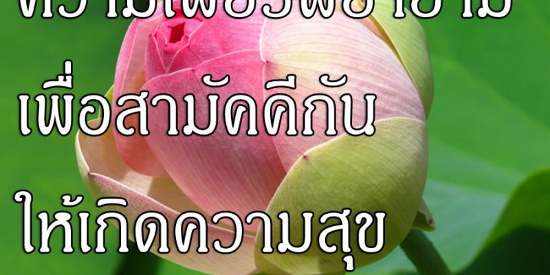 ความเพียรพยายามเพื่อสามัคคีกัน ให้เกิดความสุข