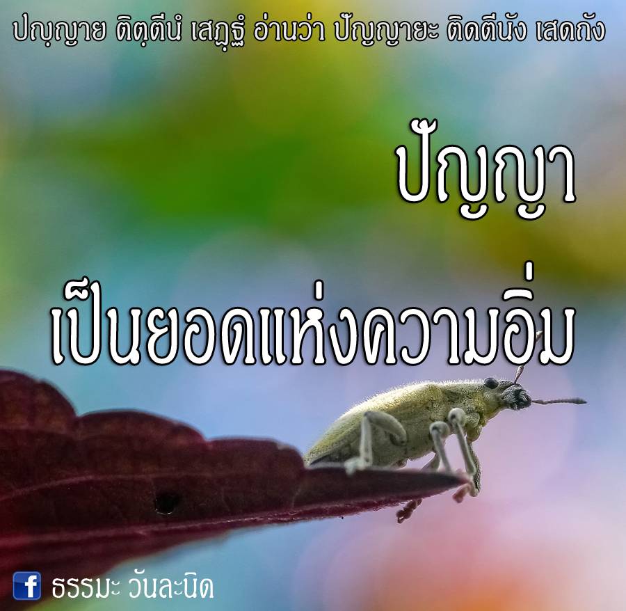 ปัญญา เป็นยอดแห่งความอิ่ม