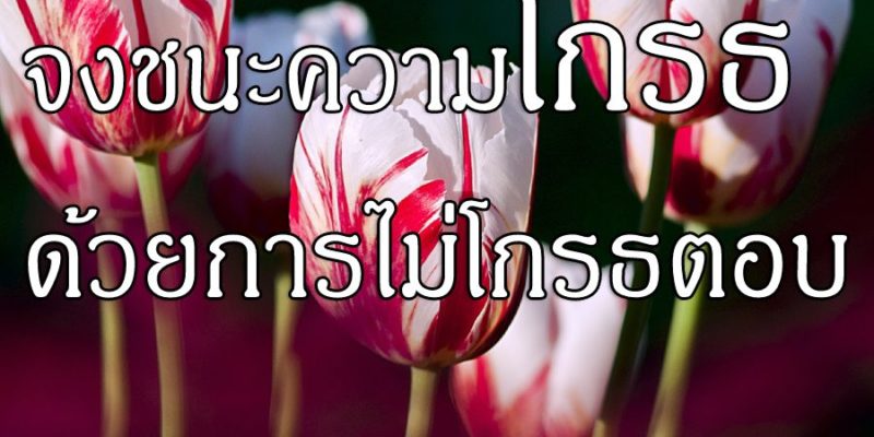 จงชนะความโกรธด้วยการไม่โกรธตอบ