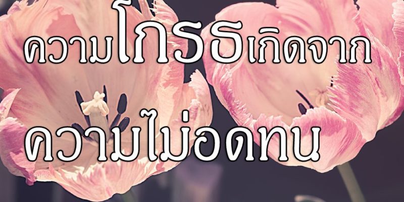 ความโกรธเกิดจากความไม่อดทน