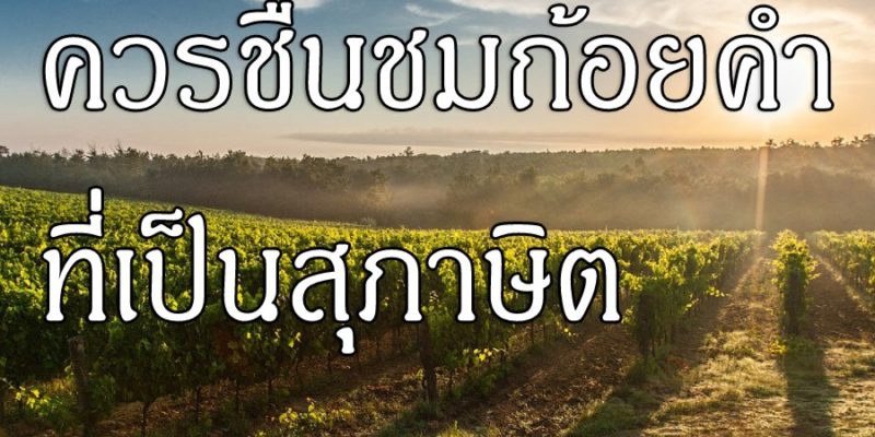 ควรชื่นชมถ้อยคำ ที่เป็นสุภาษิต