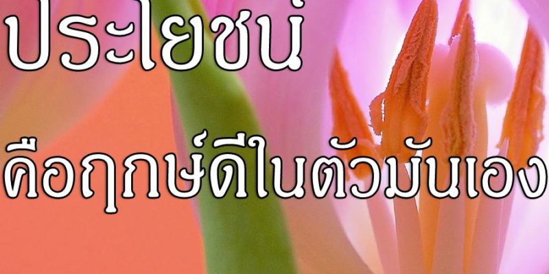 ประโยชน์ คือฤกษ์ดีในตัวมันเอง