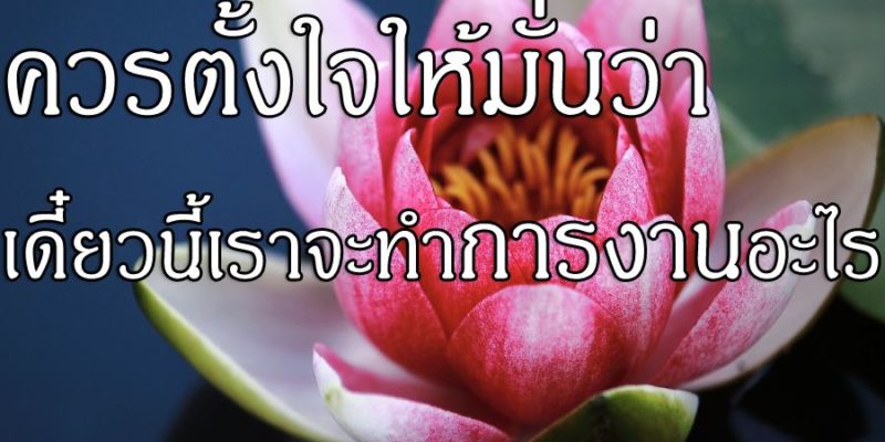 ควรตั้งใจให้มั่นว่า เดี๋ยวนี้เราจะทำการงานอะไร