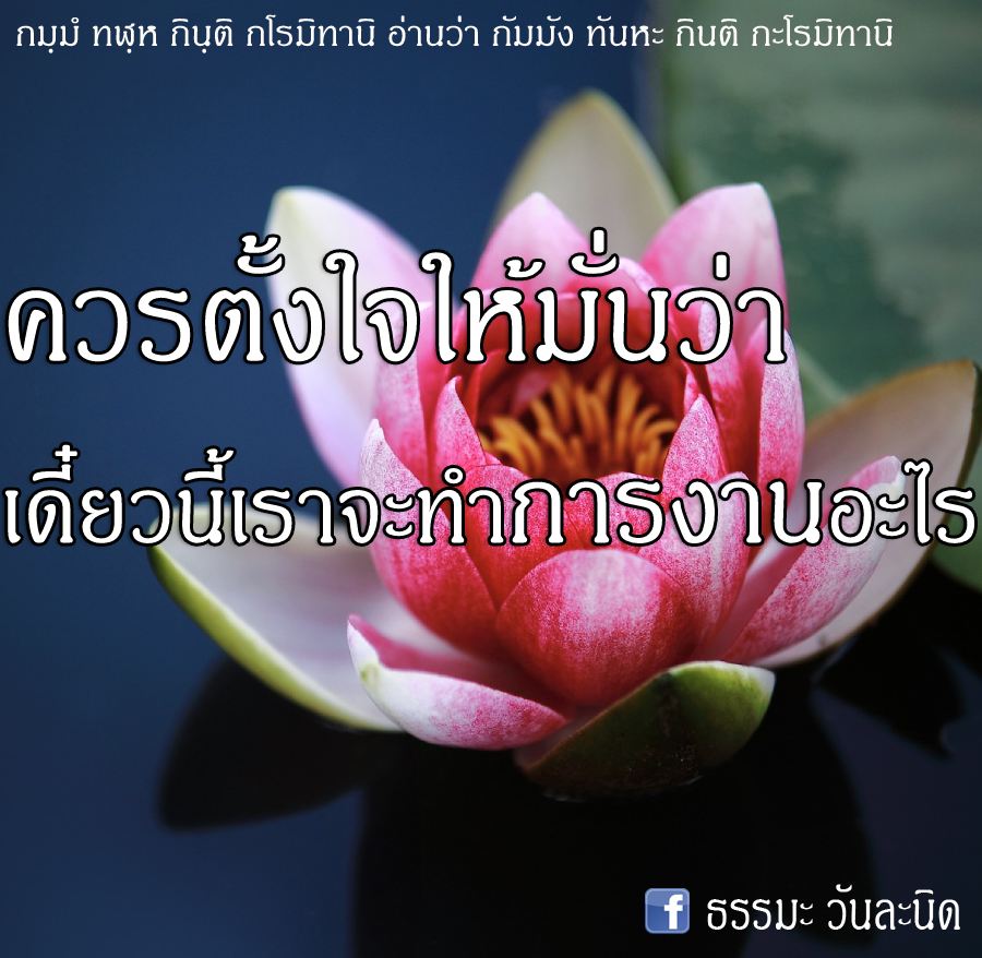 ควรตั้งใจให้มั่นว่า เดี๋ยวนี้เราจะทำการงานอะไร